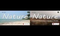 Thumbnail of Beautiful Nature Videos