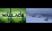 Bladerunner + Winter
