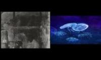 Thumbnail of Decassia BILL MORRISON CARBON BASED LIFEFORMS WORLD OF SLEEPERS