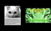 Thumbnail of Purring Big Cats- Readerfreak97