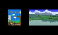 Thumbnail of professionally created terraria acapello