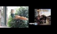 squirrel free bird spinning