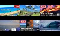 Thumbnail of Hawaii live YouTube -22