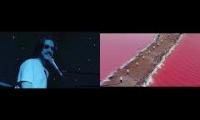 Thumbnail of Welcome to Bo calling Australia Home