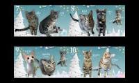 Thumbnail of Rescue Cat House Multi Window Display 7~10