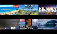 Thumbnail of Hawaii live cams Hawaii live cams