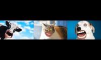Thumbnail of markiplier animal chaos