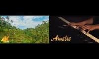 Thumbnail of rain forest piano music