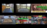 Thumbnail of Amazingearthanimalslivestream