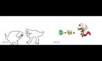 Both sofija videos! (Cat v**e dog and my pets)