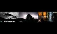 Thumbnail of Storm Sounds Wind Thunder Rain 6.0