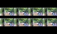 Thumbnail of kejar waktu 4000 jam tayang