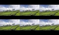 Thumbnail of Ahmad apriandi adventures