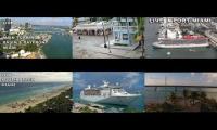 Thumbnail of 2023-floriday webcams