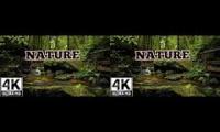 Thumbnail of amazing nature video with relaxing music for stress relief