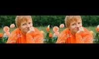 Thumbnail of Ed Sheeran Shape Of You (Lyrics)