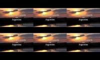 Thumbnail of Canards en Argentine