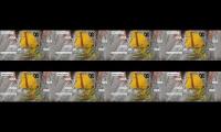Thumbnail of video terbaru untuk youtube