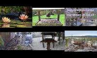 Thumbnail of Amazingearthanimalslivestream