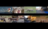 Thumbnail of Test for watch time for YouTube