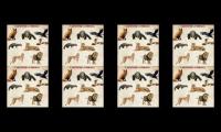 Thumbnail of Nama dan suara hewan dalam bahasa inggris