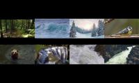 Thumbnail of Natural Shorts in HD - part 4