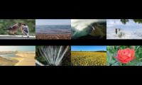 Thumbnail of Natural Shorts in HD - part 7