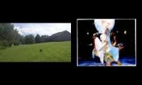 Thumbnail of Boco the Turkey Vulture and Fam by the Ol Barn