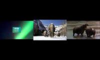 Walking With Beasts Intros