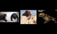 Thumbnail of Thrinaxodon played at once