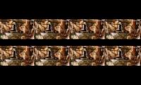 Thumbnail of Rajesh rajesh Dupthi