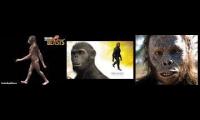 Thumbnail of Australopithecus played at once
