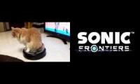 Sonic HEdgehog Roomba Feet Real