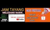 Thumbnail of AMEL ZEIN, Amel zein