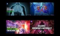 Healthy Body For Me 3!
