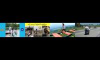 Funny Videos try not to laugh