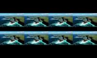 Thumbnail of 4k uhd video || bvl7526