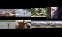 Thumbnail of best videos virals is here