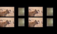Thumbnail of 7 clouds,animal kids tv 1