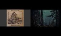 Thumbnail of Wolf Forest Sounds and Music