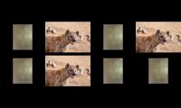 Thumbnail of 7 clouds, animals tv kids