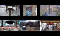 Thumbnail of Amazingearthanimalslivestream