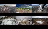 Thumbnail of Amazingearthanimalslivestream