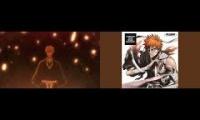 BLEACH CAN BE EXPLAINED