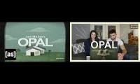 Thumbnail of Opal reaction The BroSis Effect