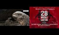 28 Snakes Later - Lizard Run