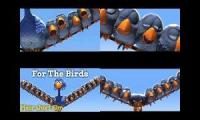 for the birds quadparison