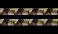 Thumbnail of Filem Rurouni khensin bedah alur cerita