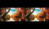 Thumbnail of Beautiful relaxing music, sleep music ,healing music