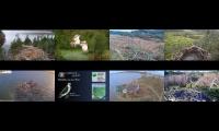 Thumbnail of Live Osprey Nests 27 March 2023